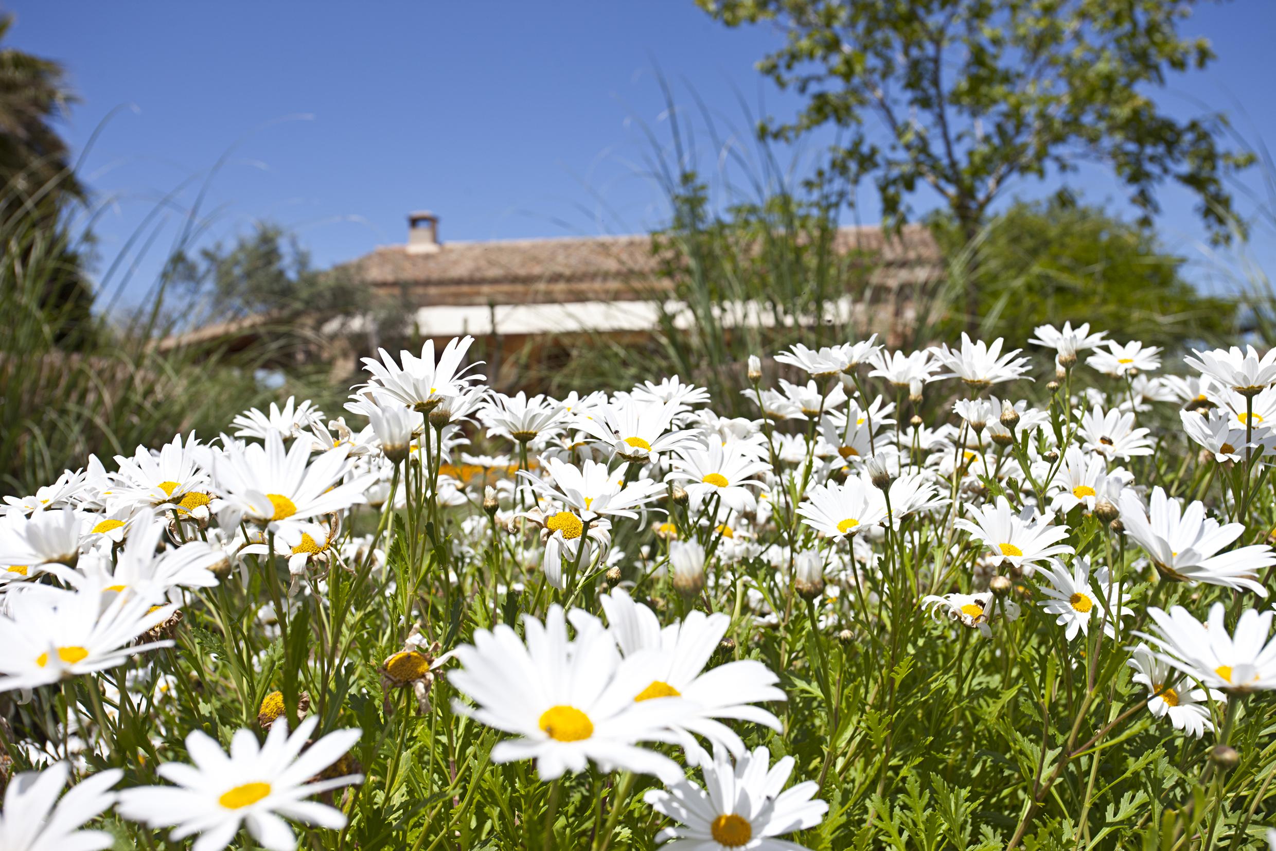 Agroturismo Na Martina